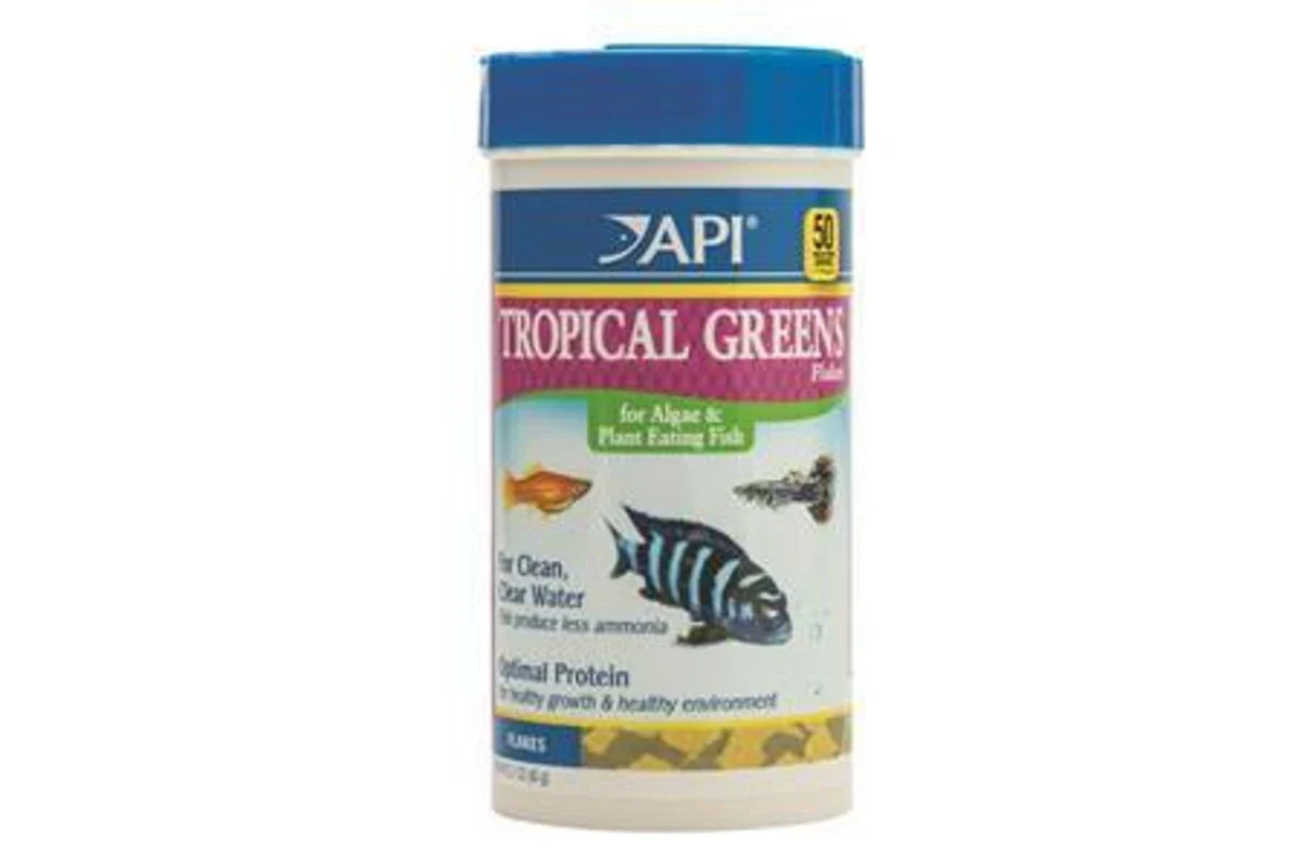 API Fish Food Sale