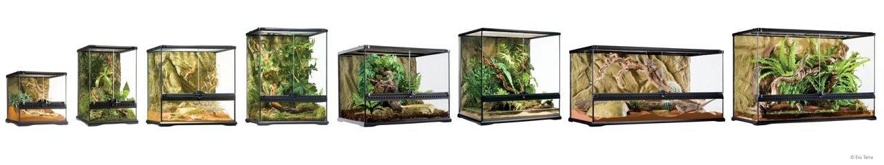 Exo Terra Terrarium - Image 4