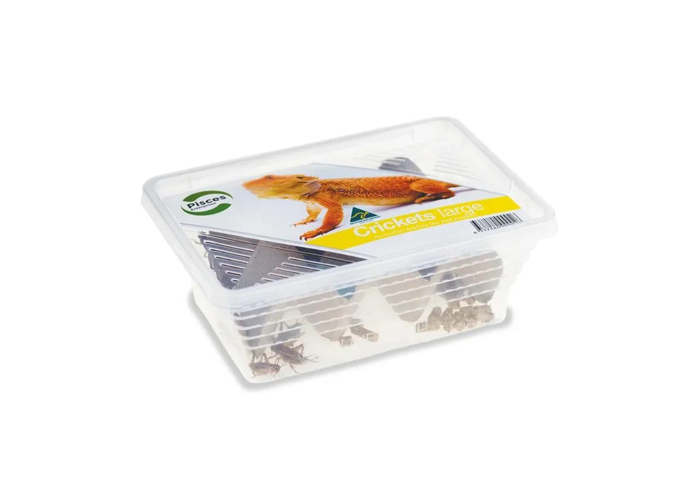 Pisces Crickets - Image 4