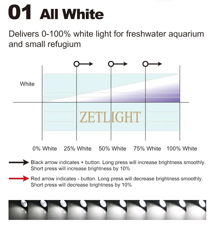 Zetlight Mini 3W LED - Image 17