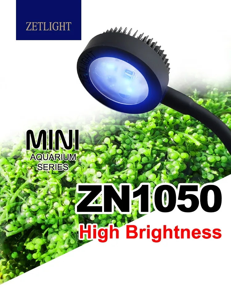Zetlight Mini 3W LED - Image 5
